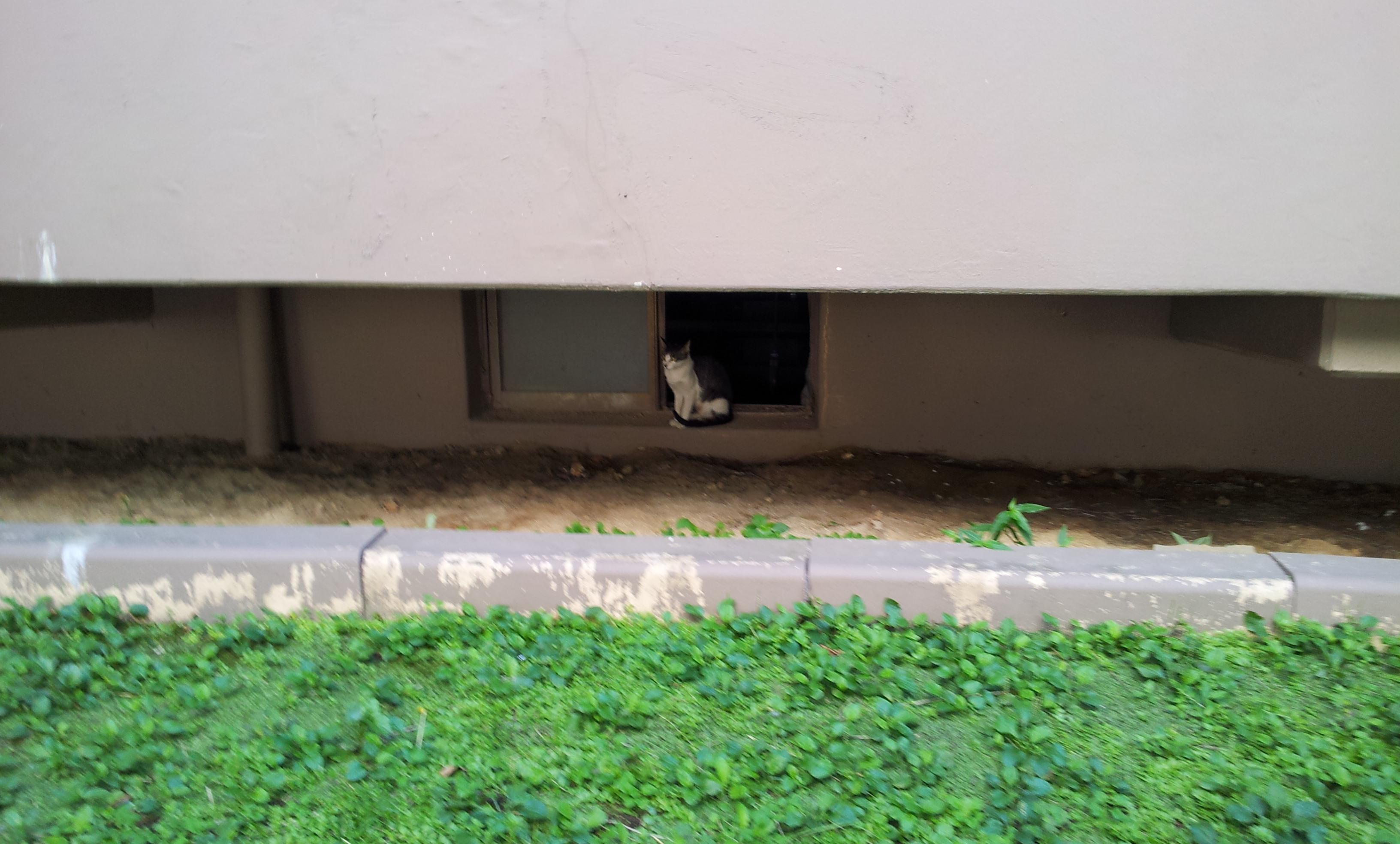 20130903_133007.jpg