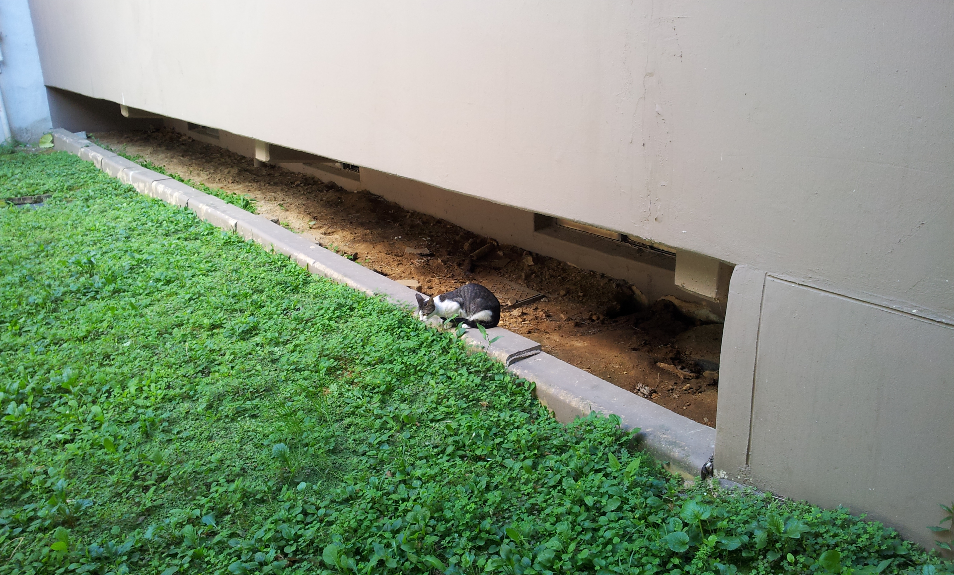 20130903_132846.jpg