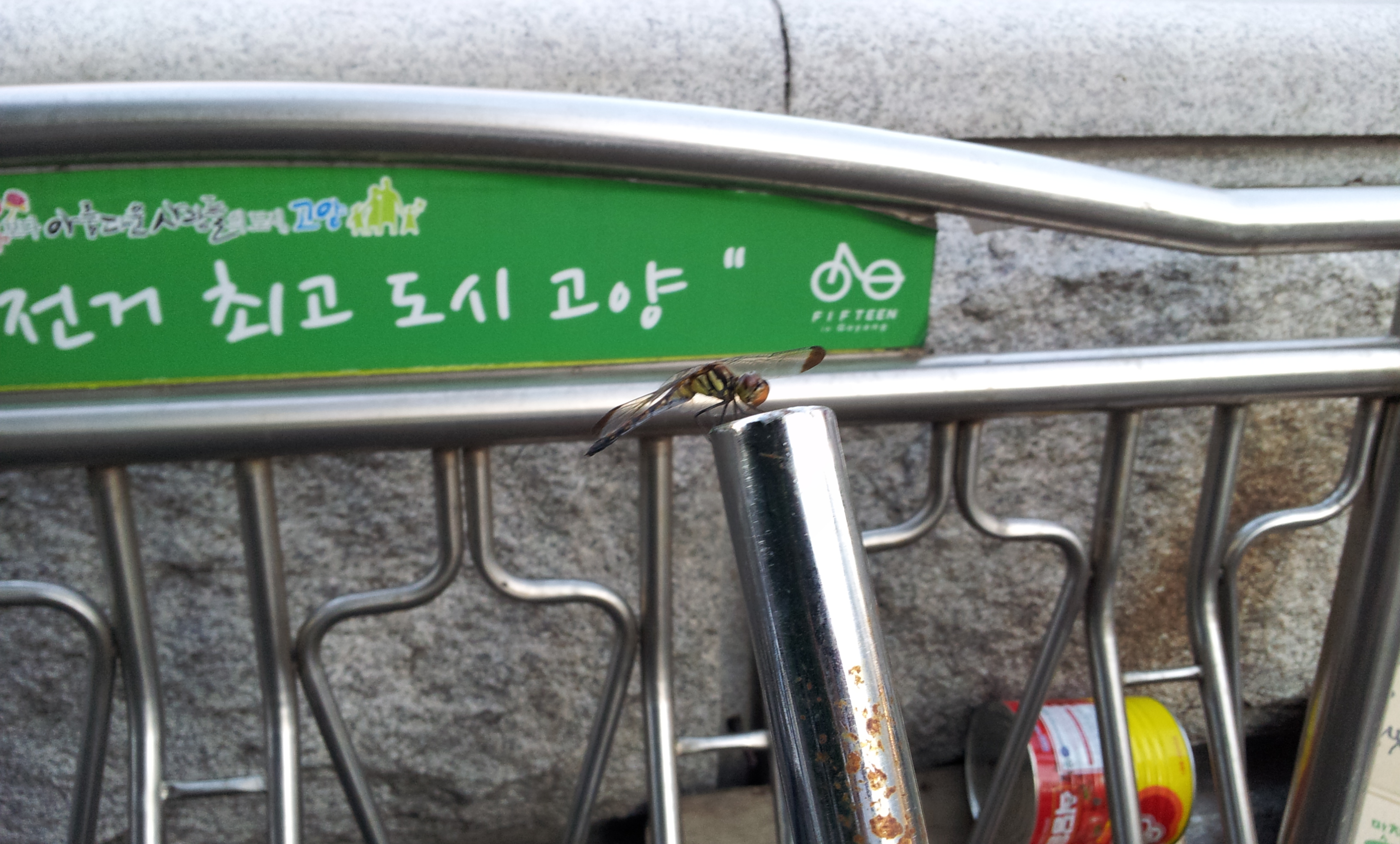 20130903_184126.jpg