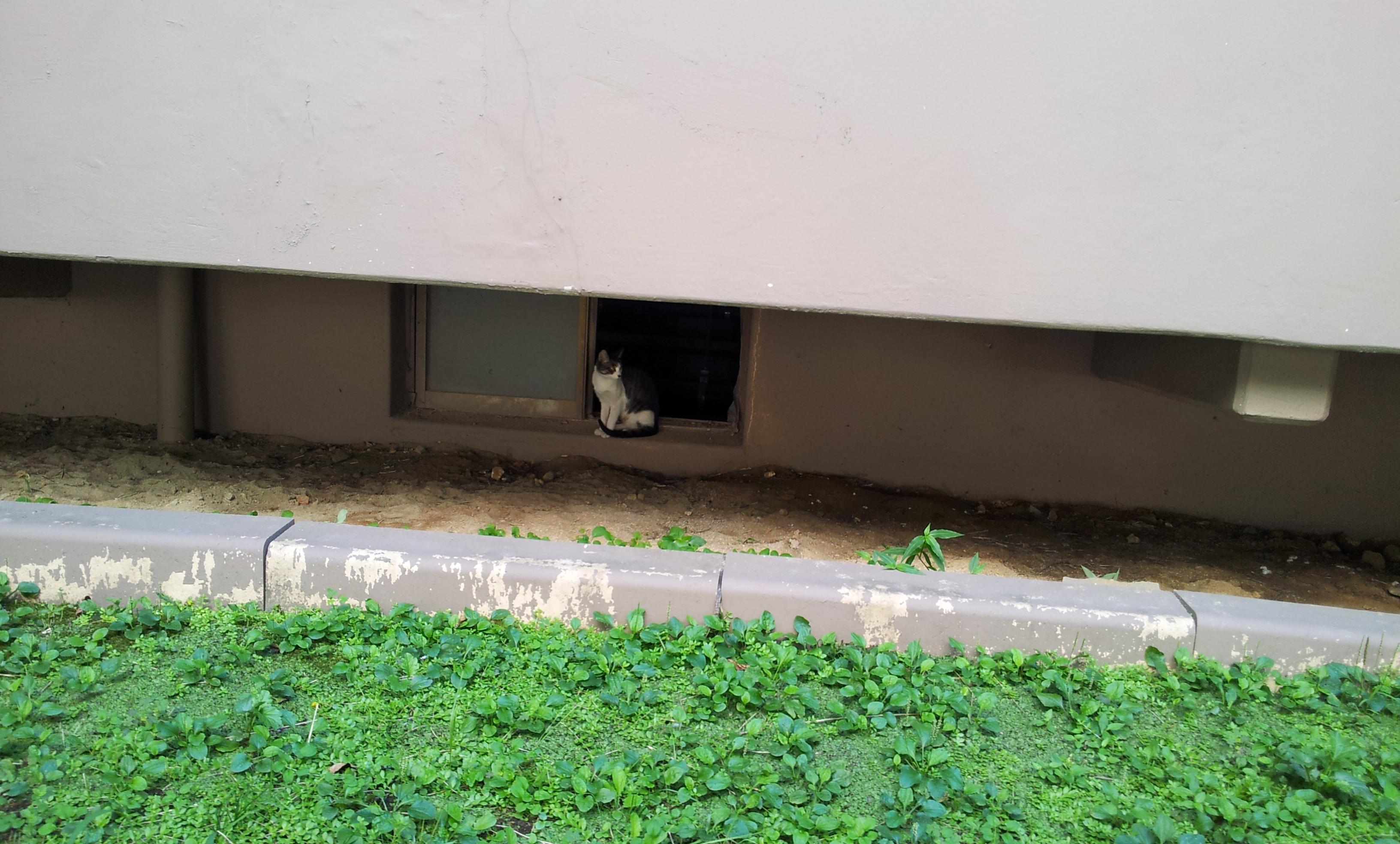20130903_133012.jpg