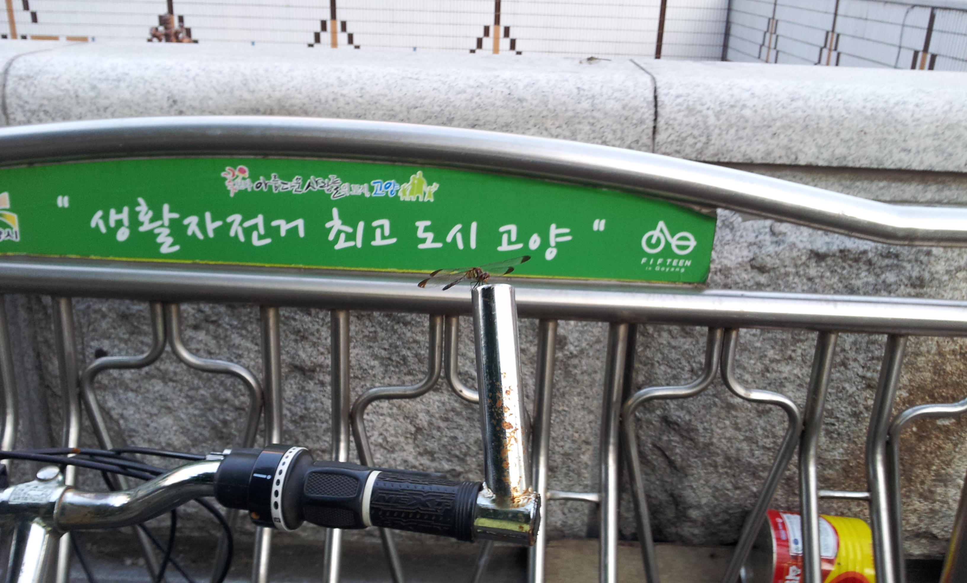 20130903_184115.jpg