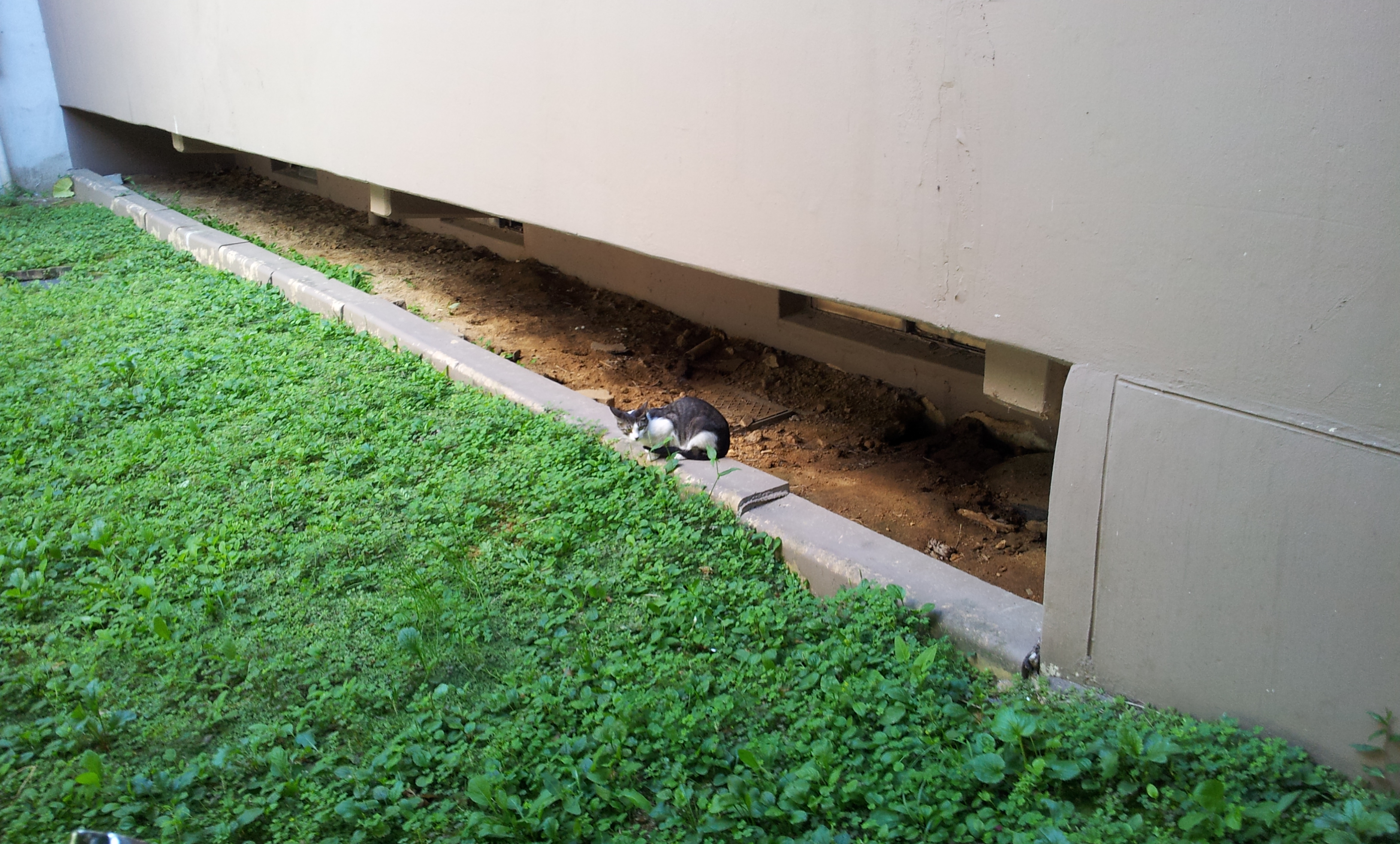 20130903_132854.jpg