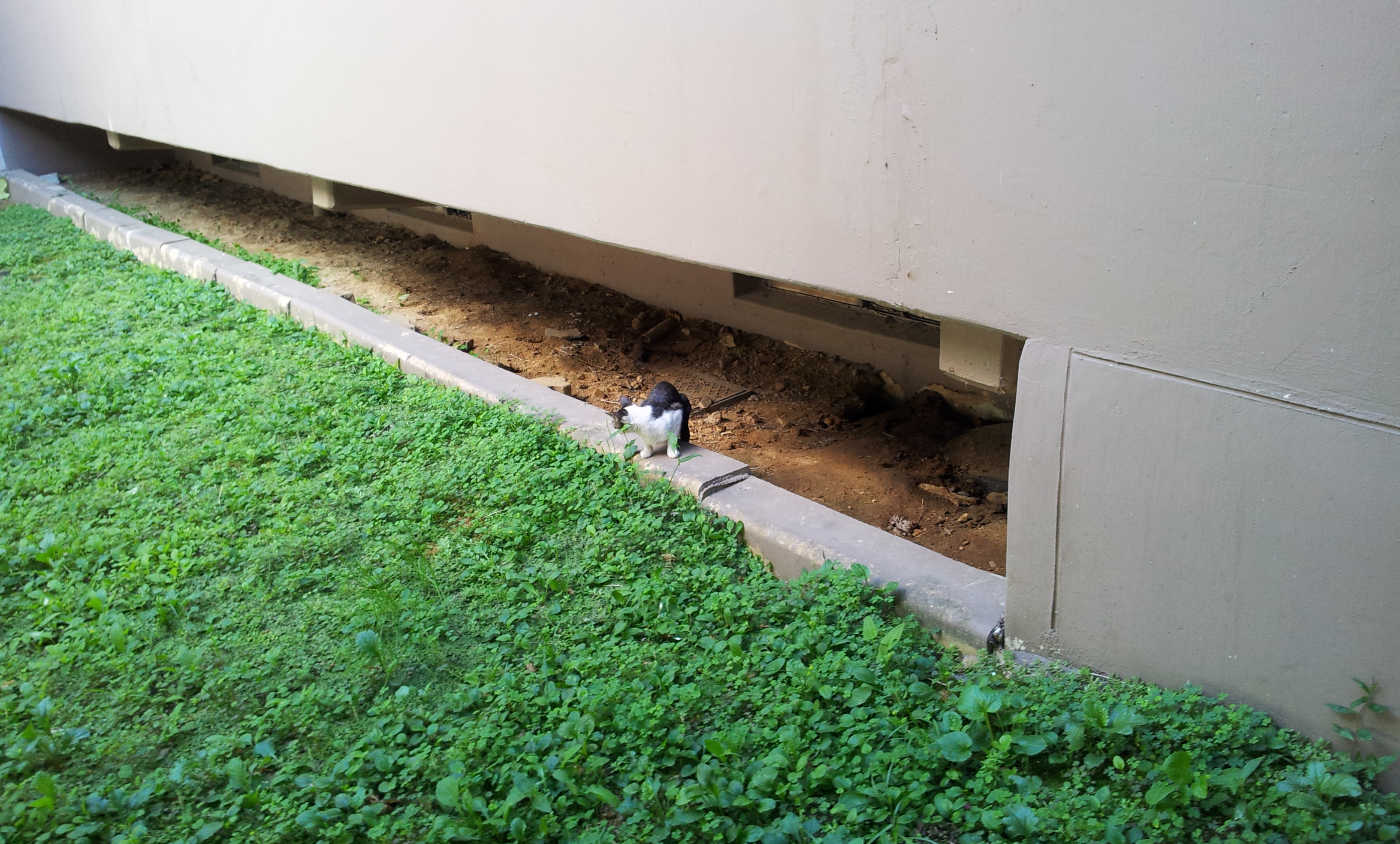 20130903_132831.jpg