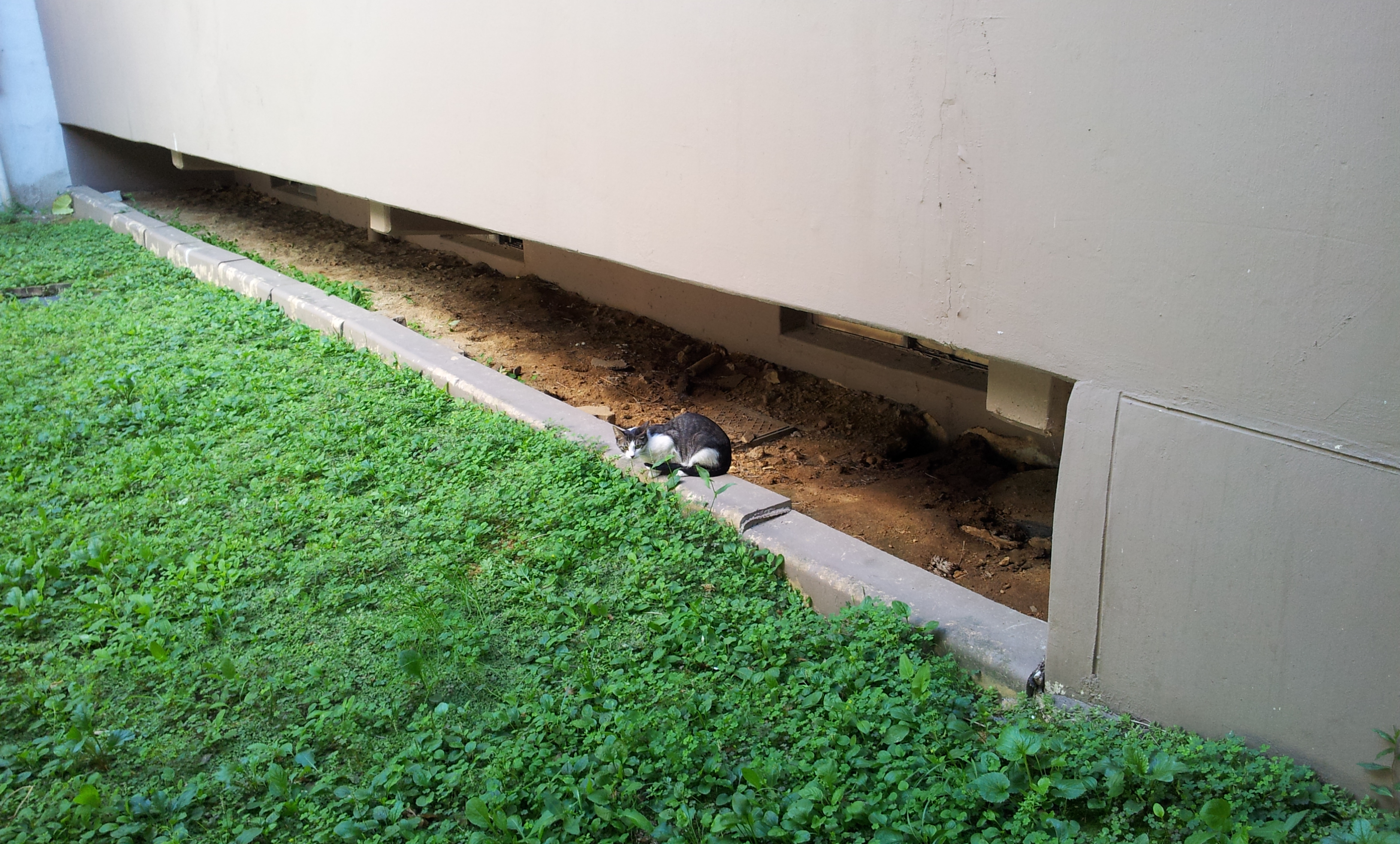 20130903_132849.jpg