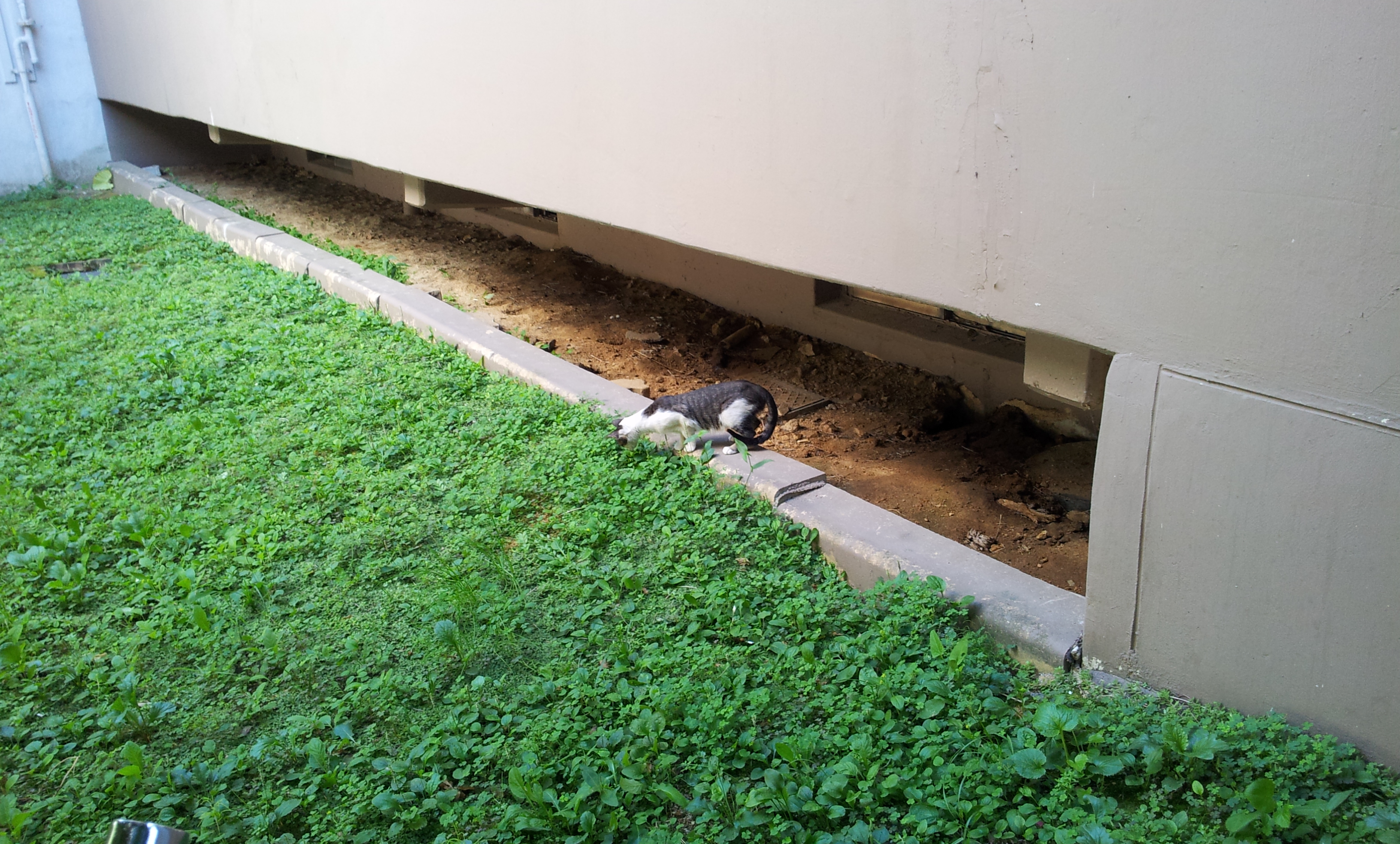 20130903_132839.jpg