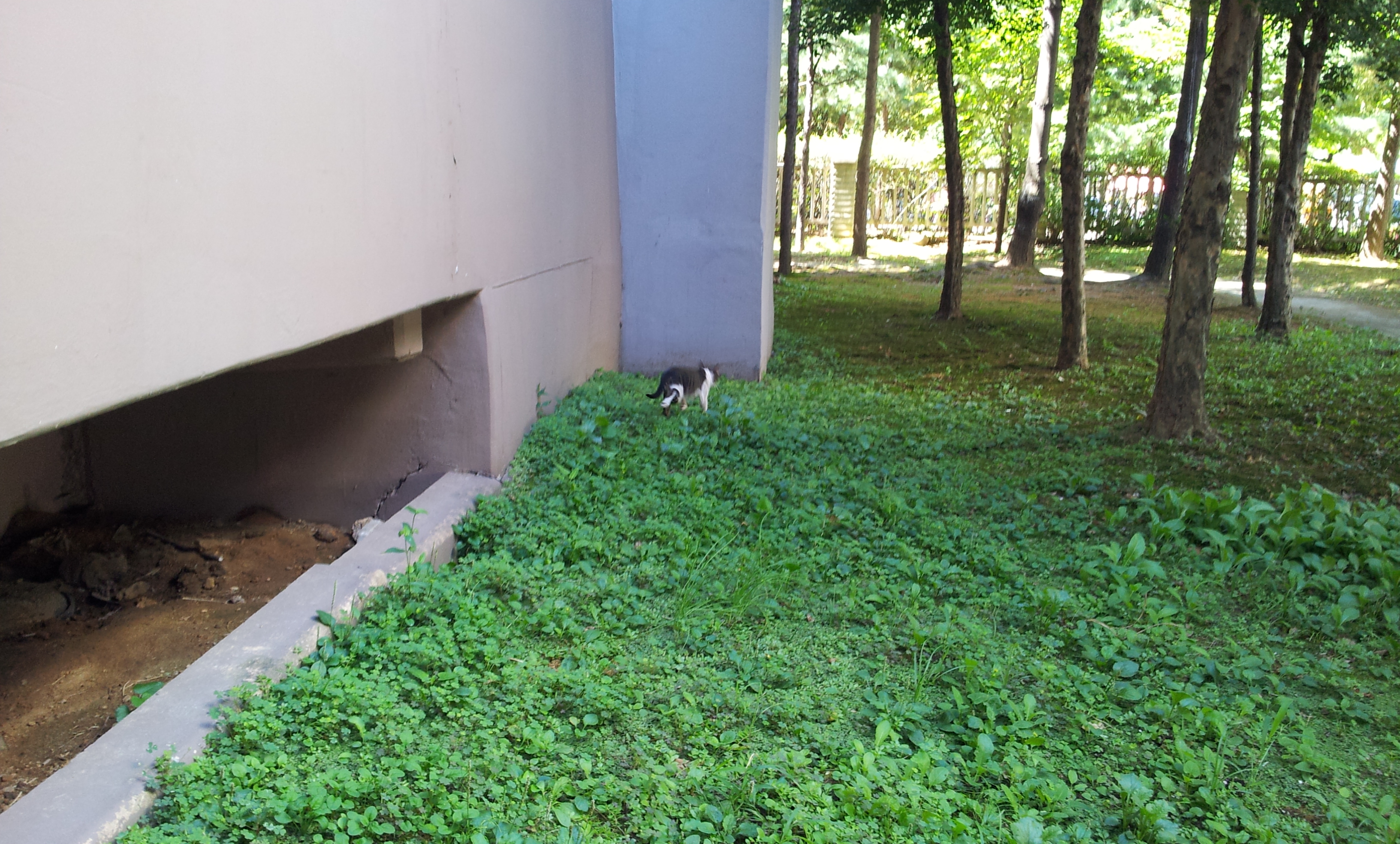 20130903_133136.jpg