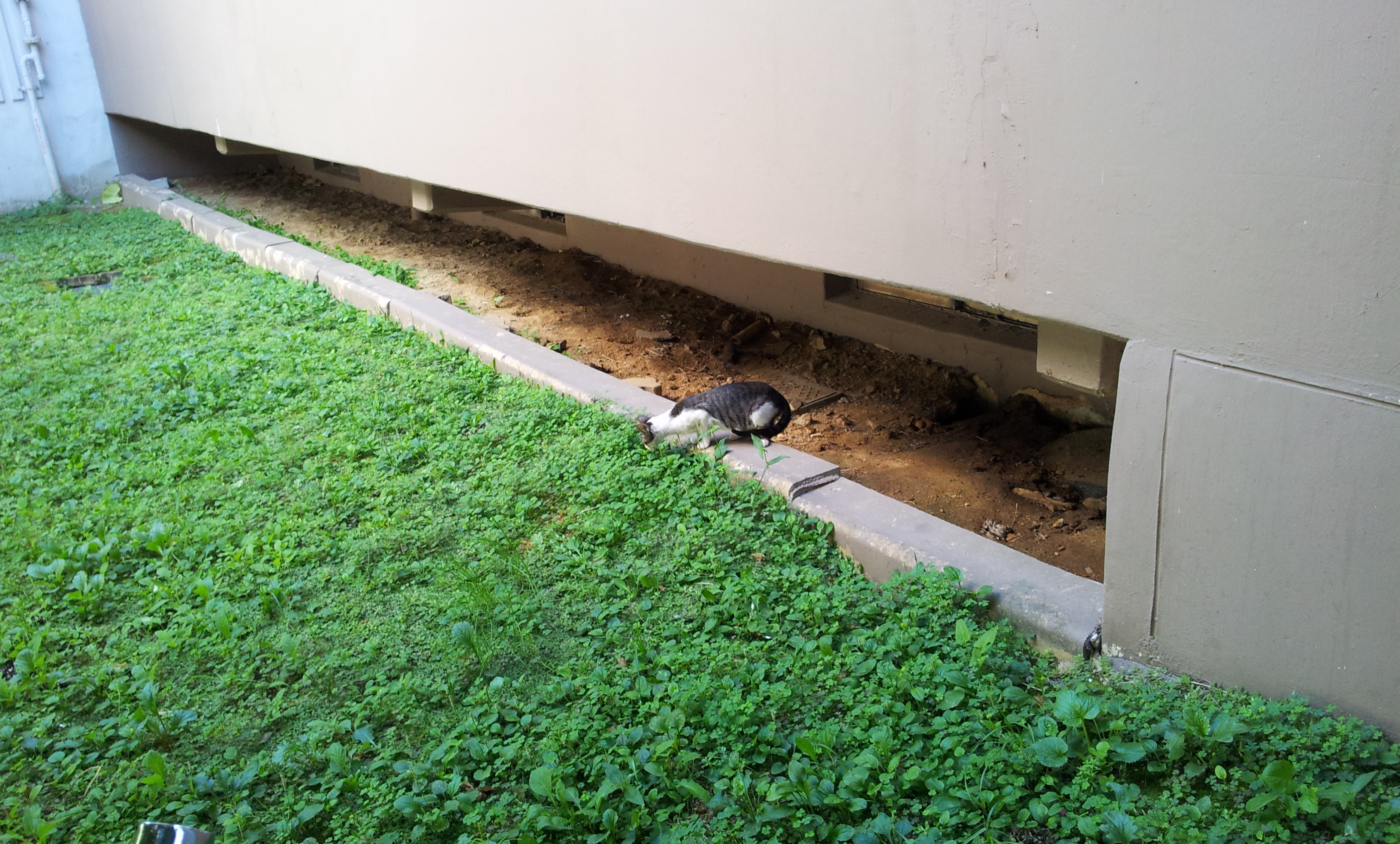 20130903_132836.jpg