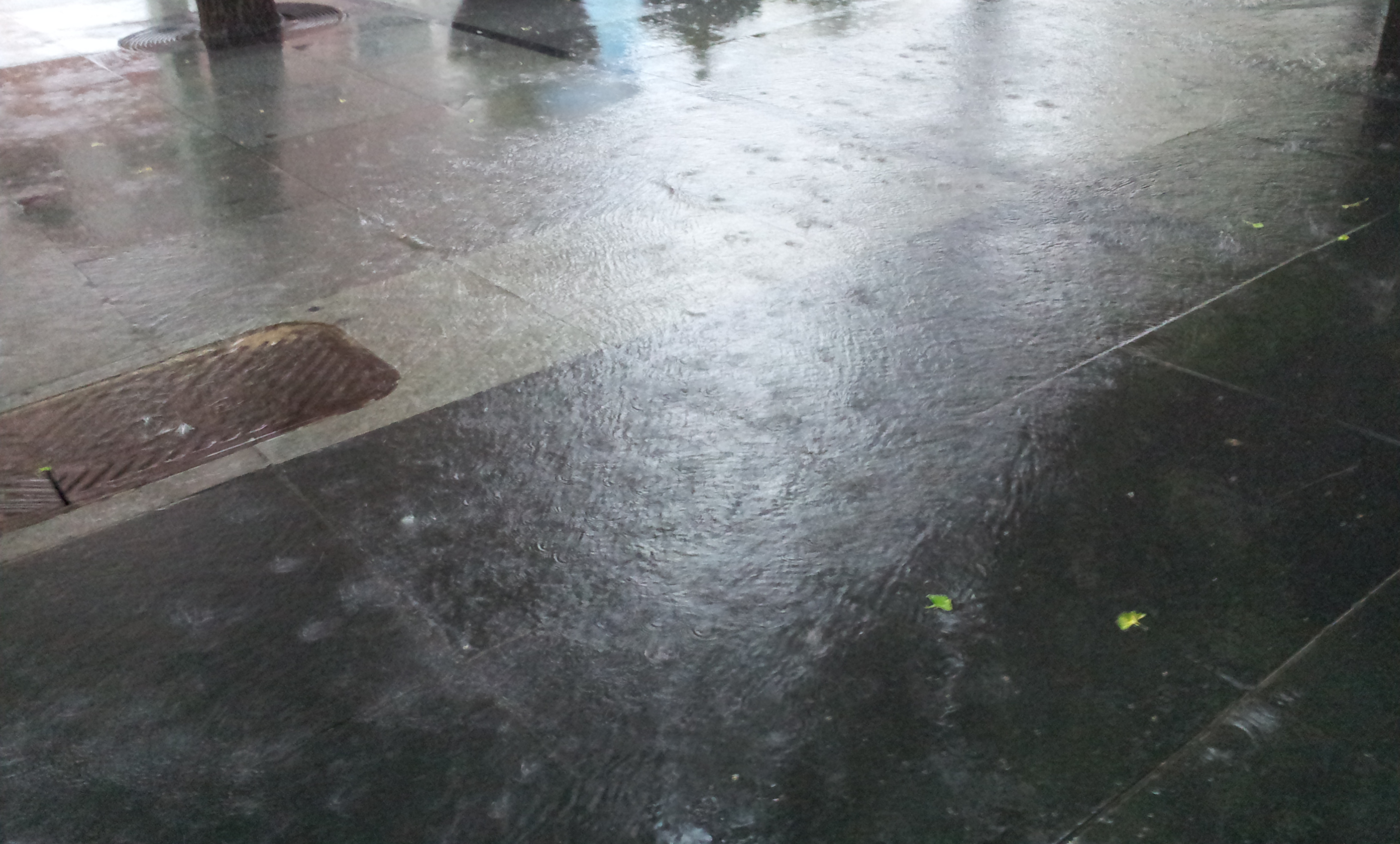 20130713_062410.jpg