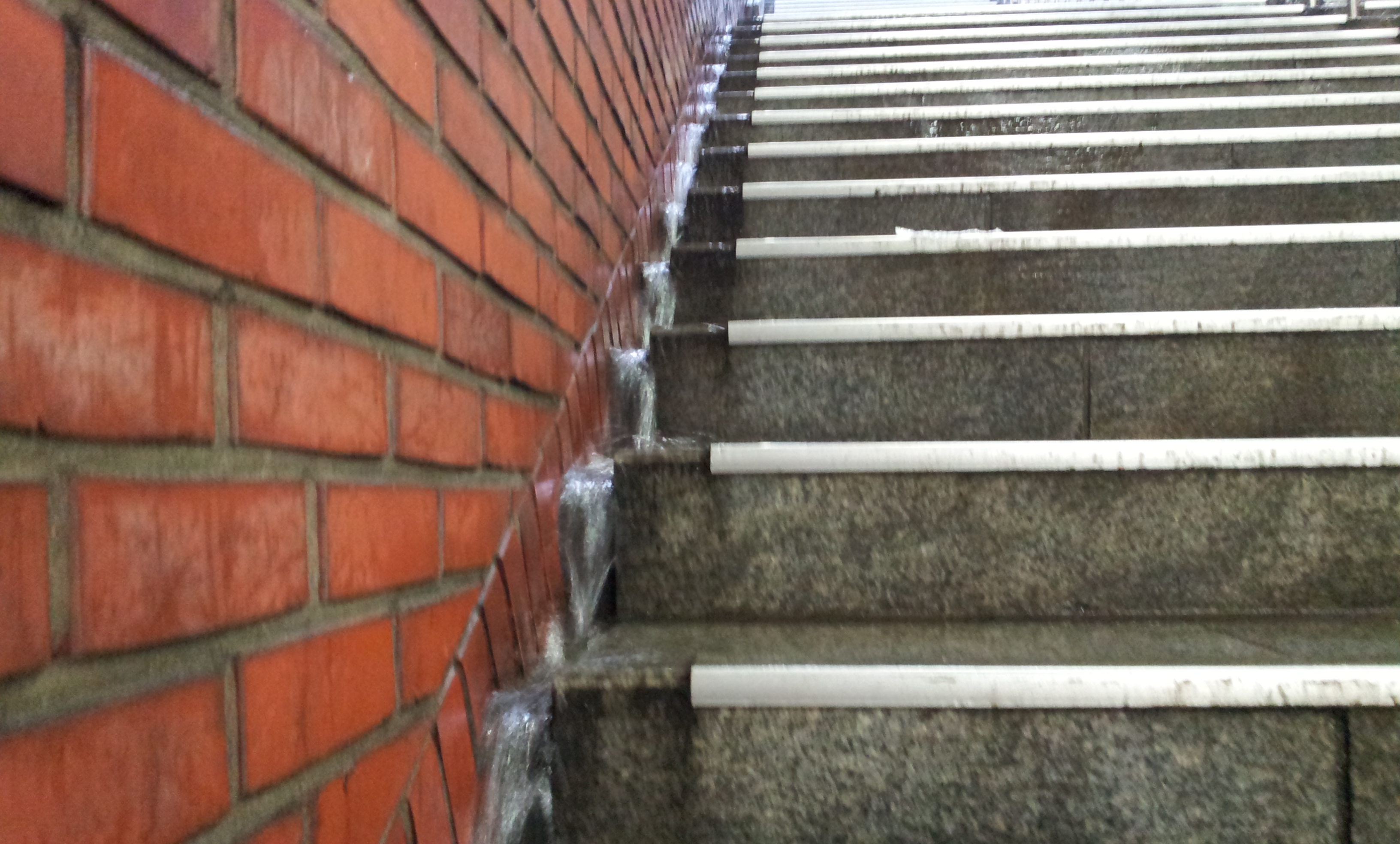 20130713_061237.jpg