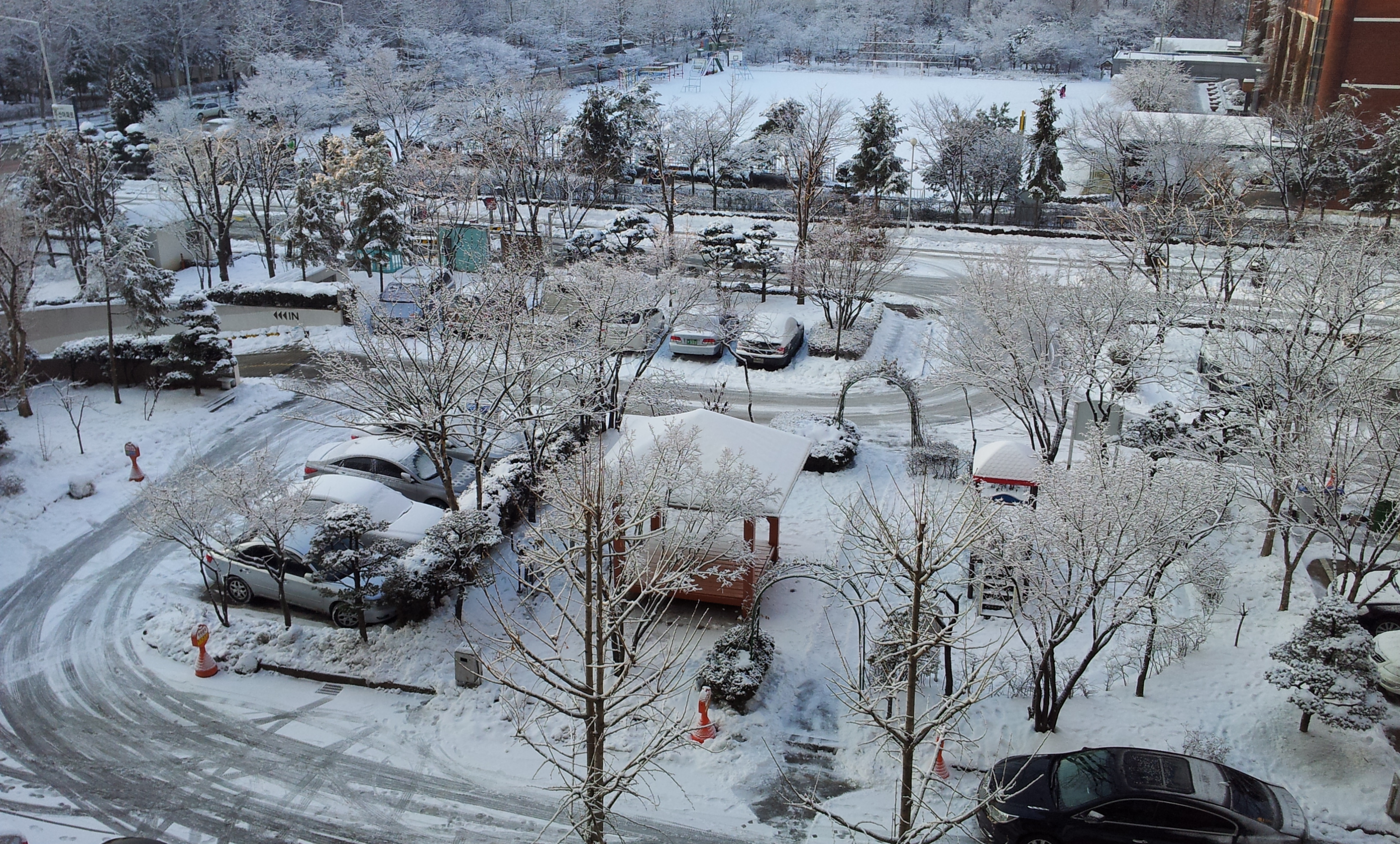 20130206_081432.jpg