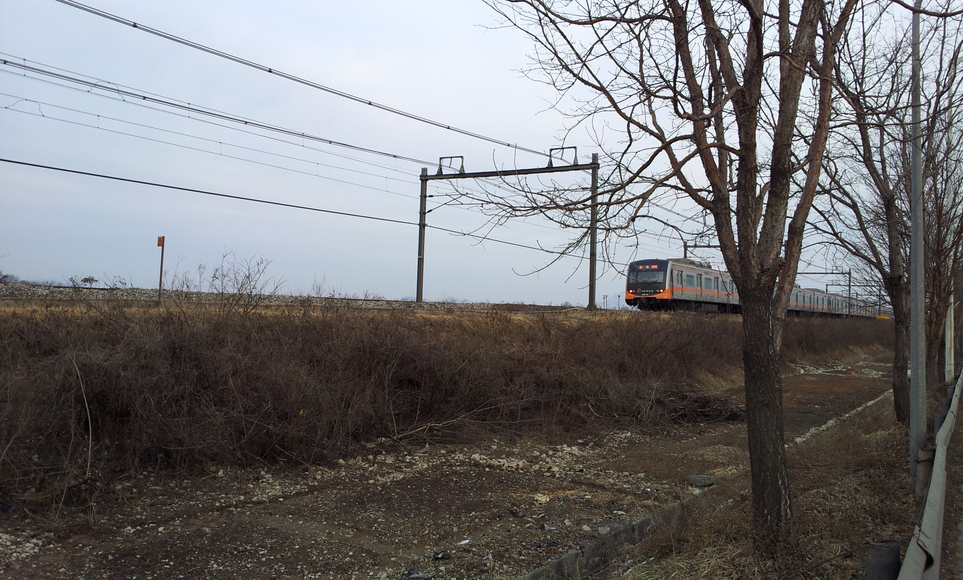 20130224_173818.jpg