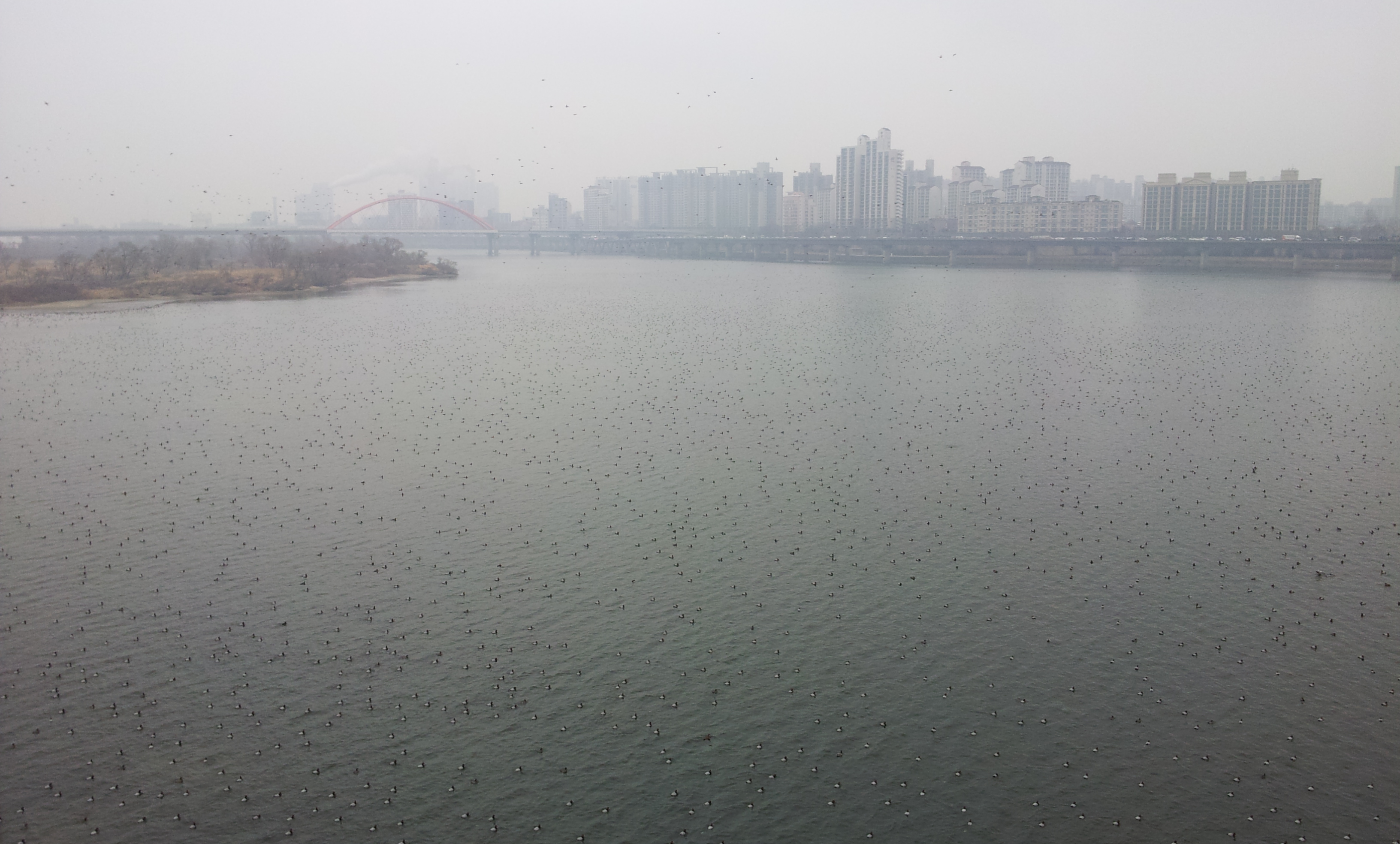 20130307_111651.jpg