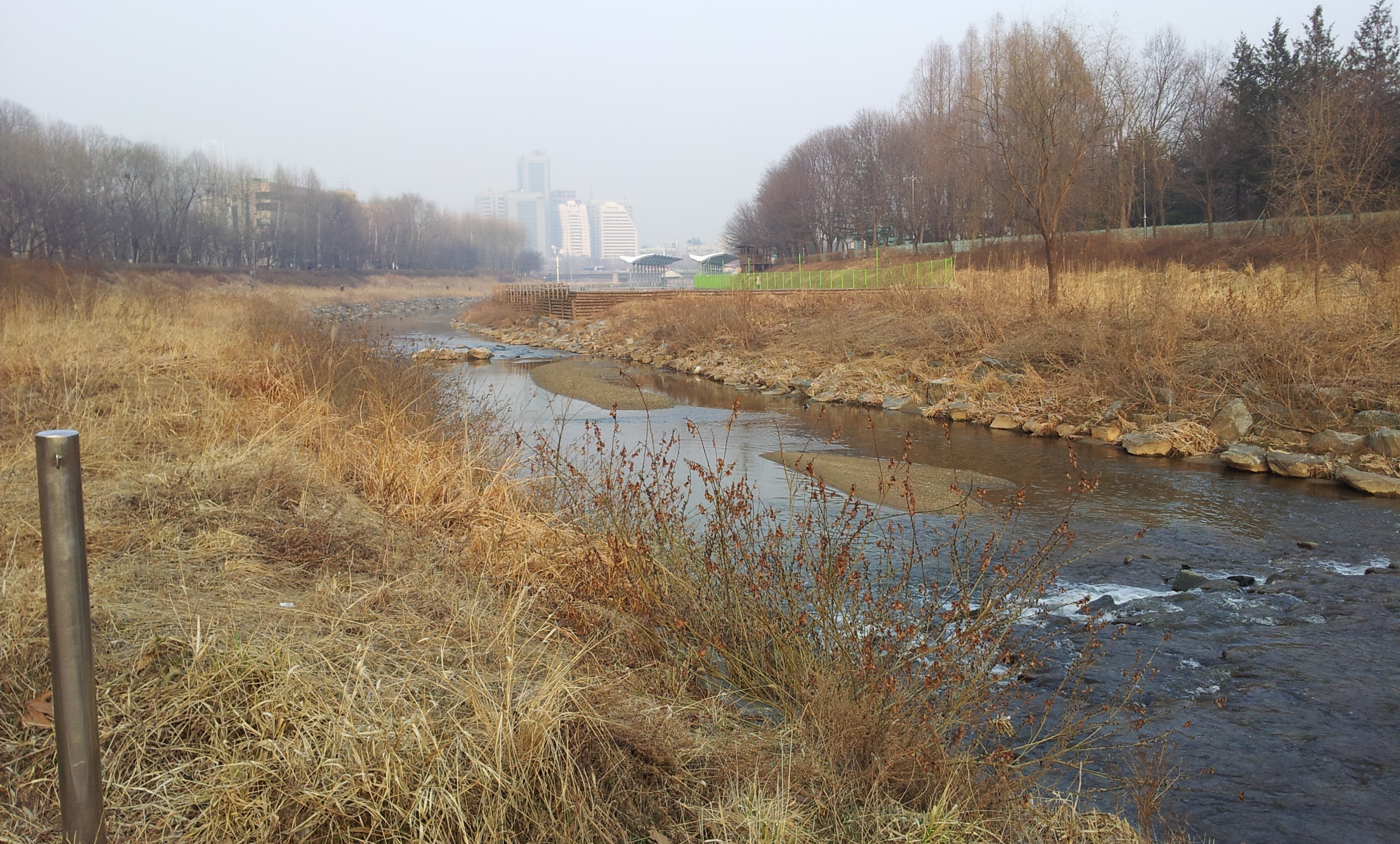 20130307_172852.jpg
