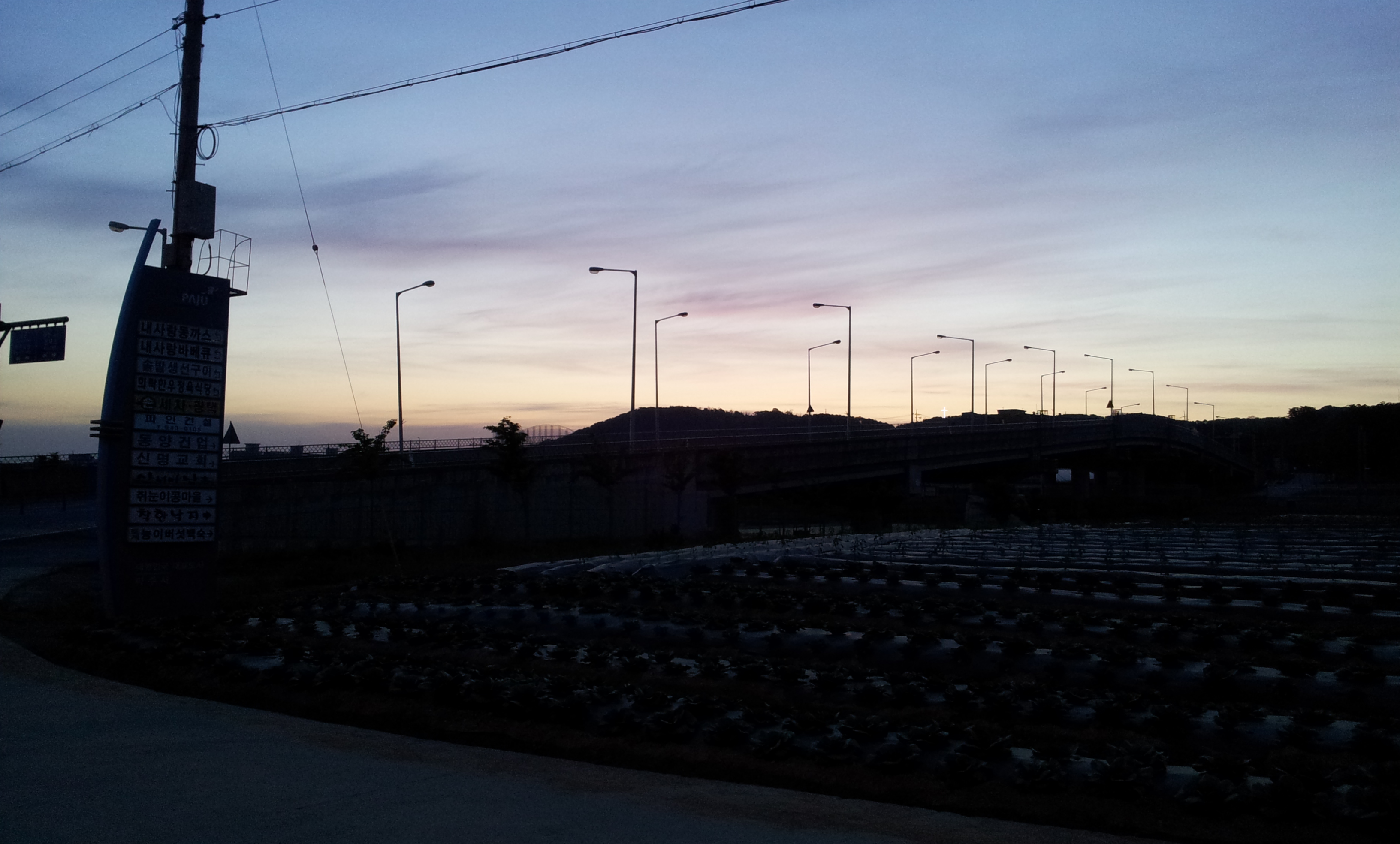 20130517_050652.jpg