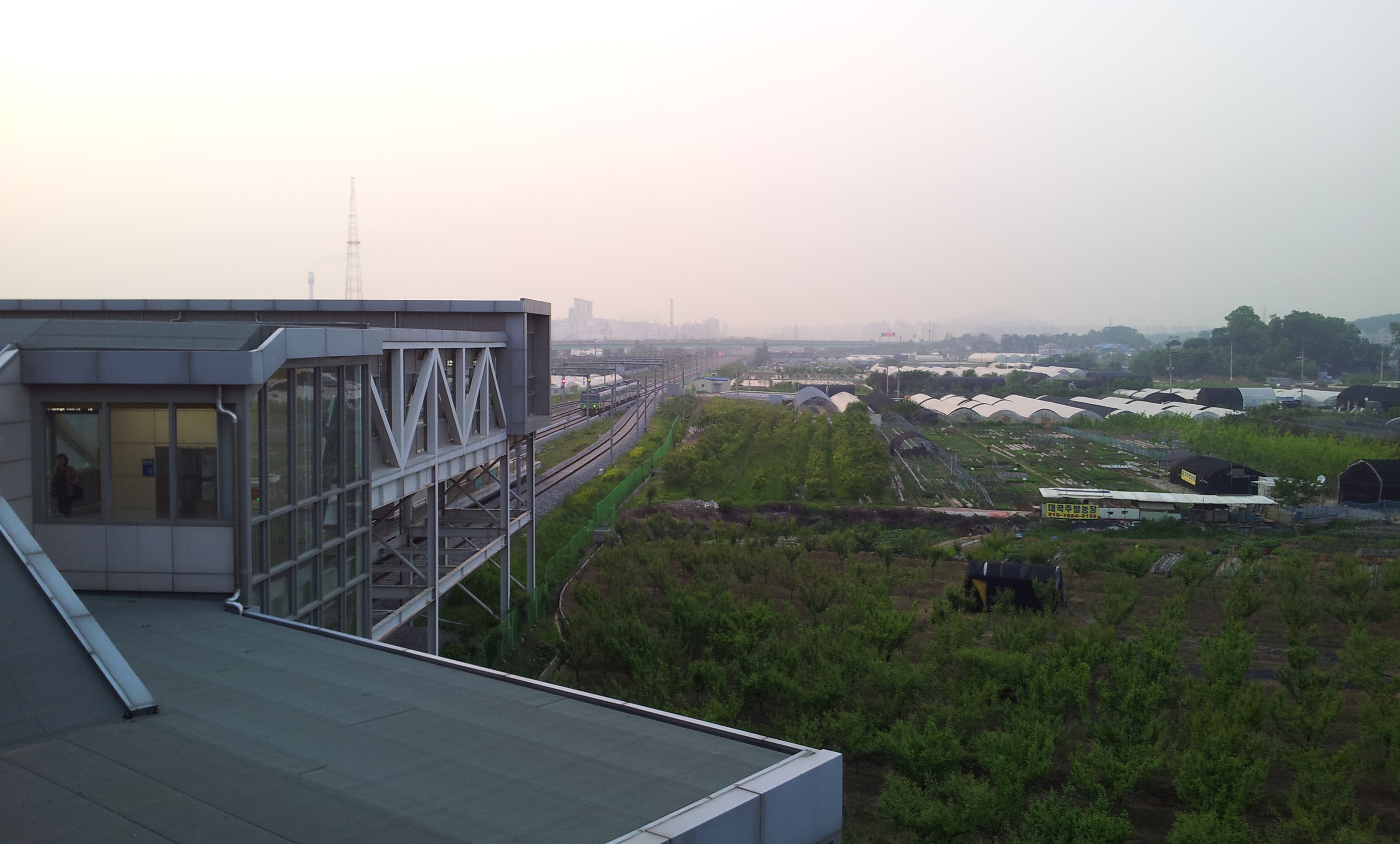 20130522_192250.jpg