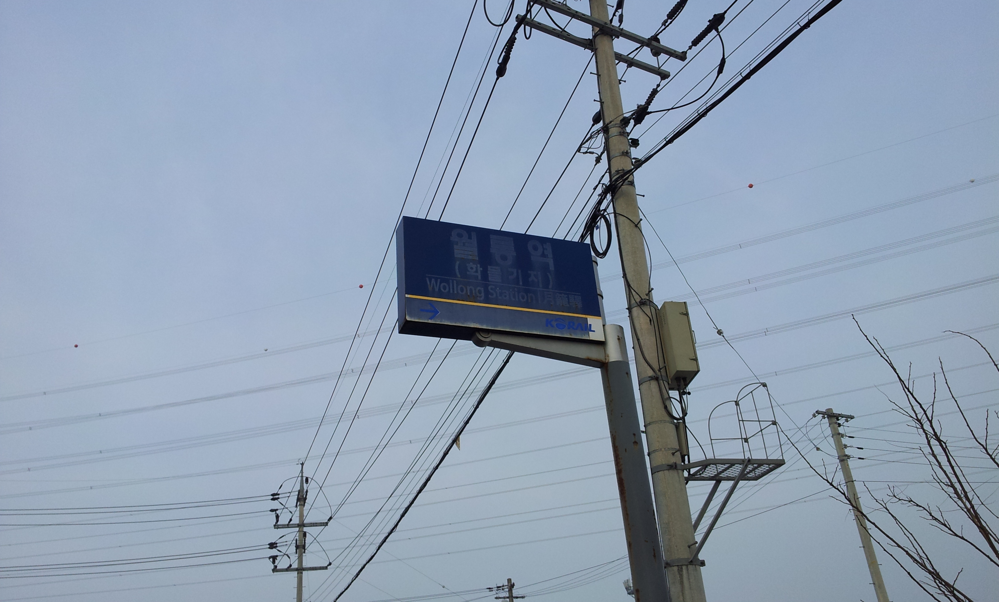 20130113_155918.jpg