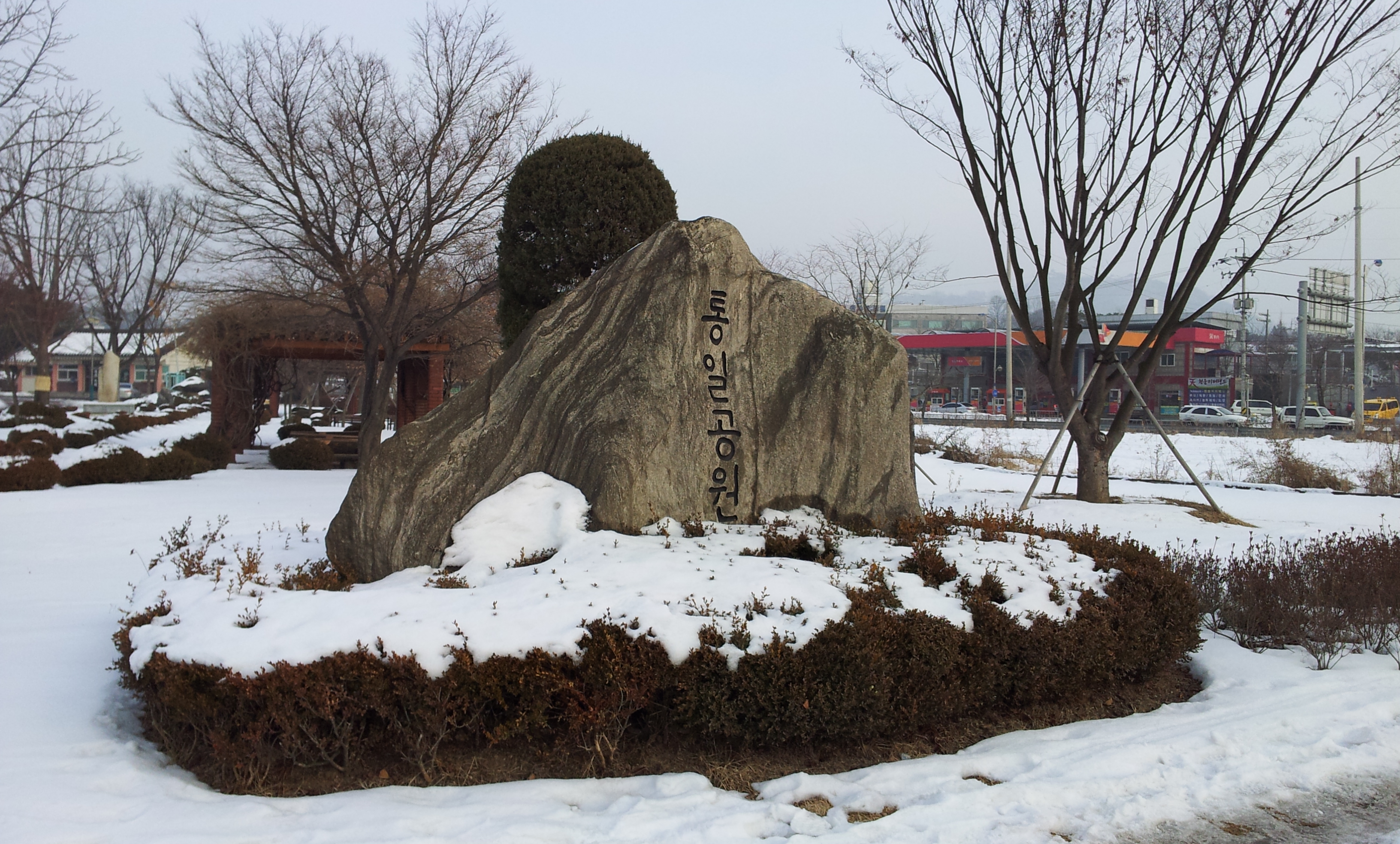 20130113_162404.jpg