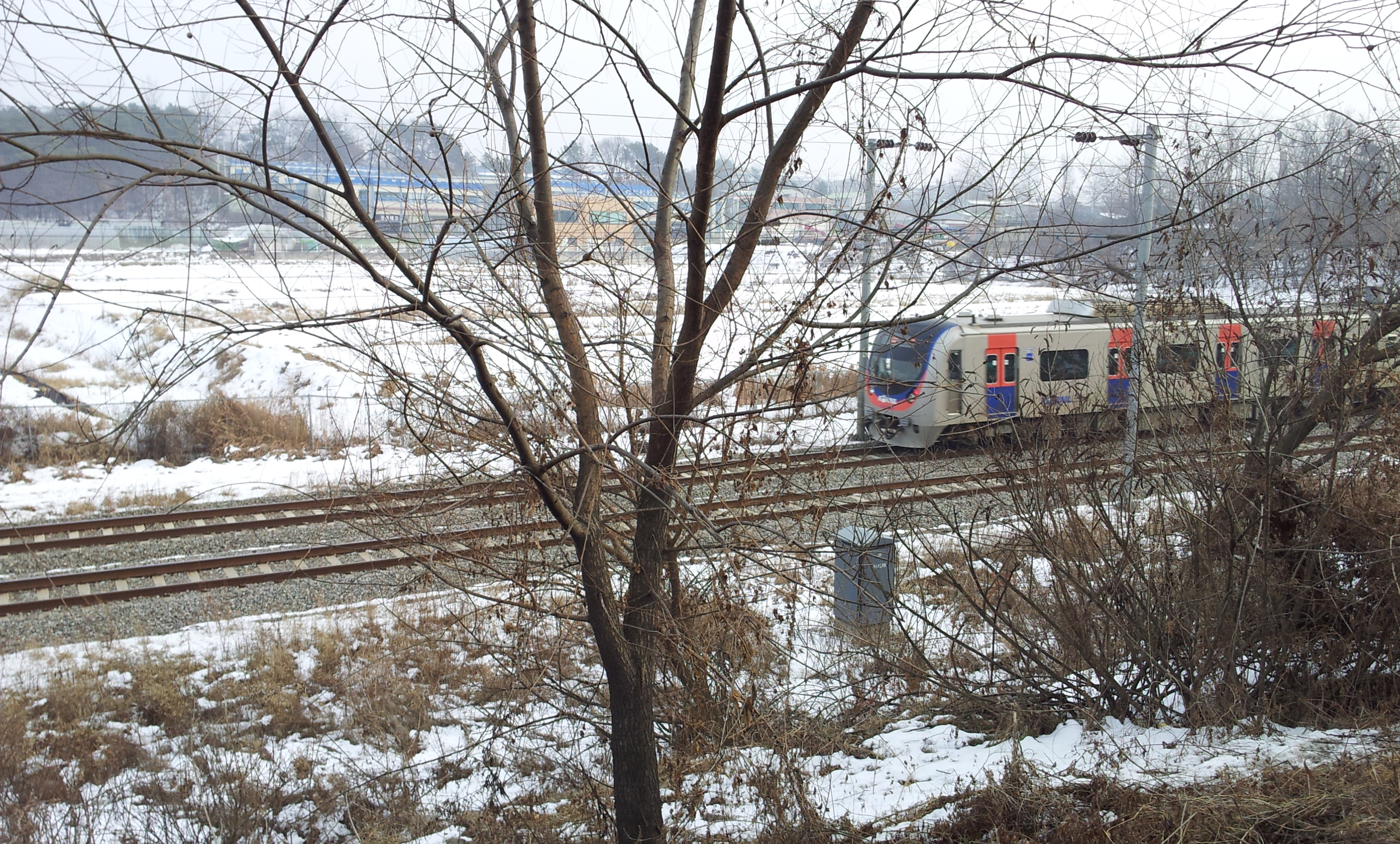 20130113_154816.jpg