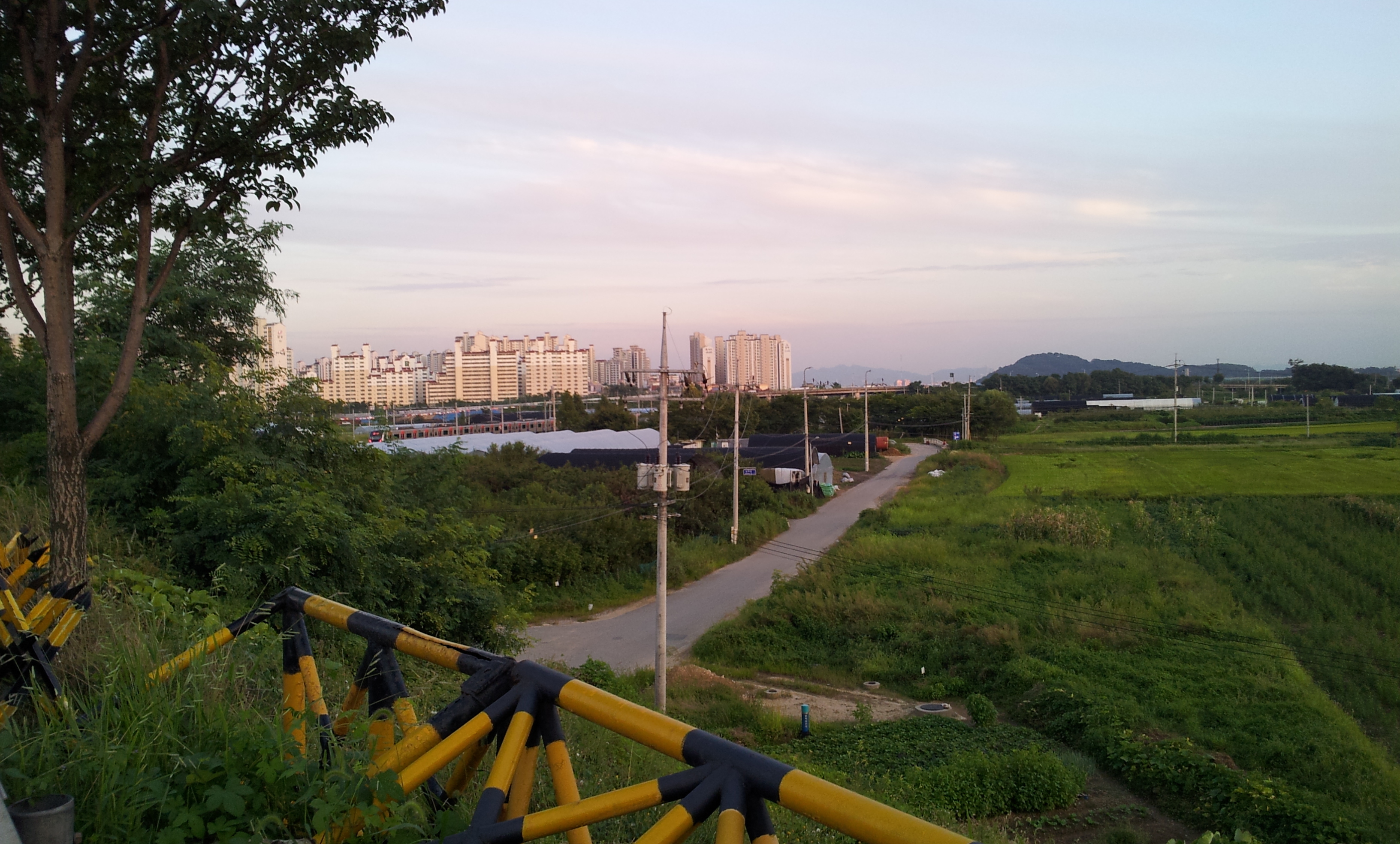 20130902_185221.jpg