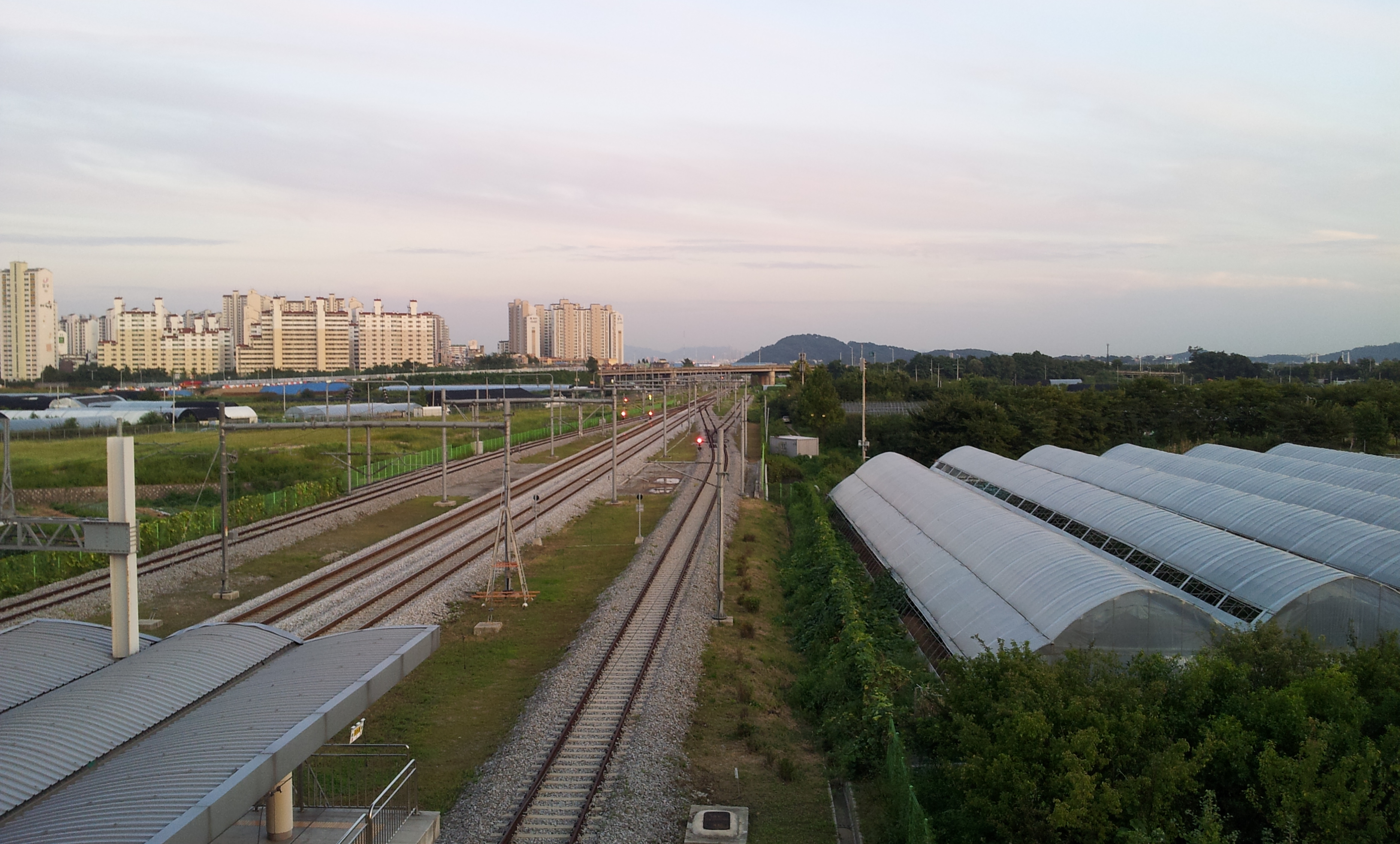 20130902_185624.jpg