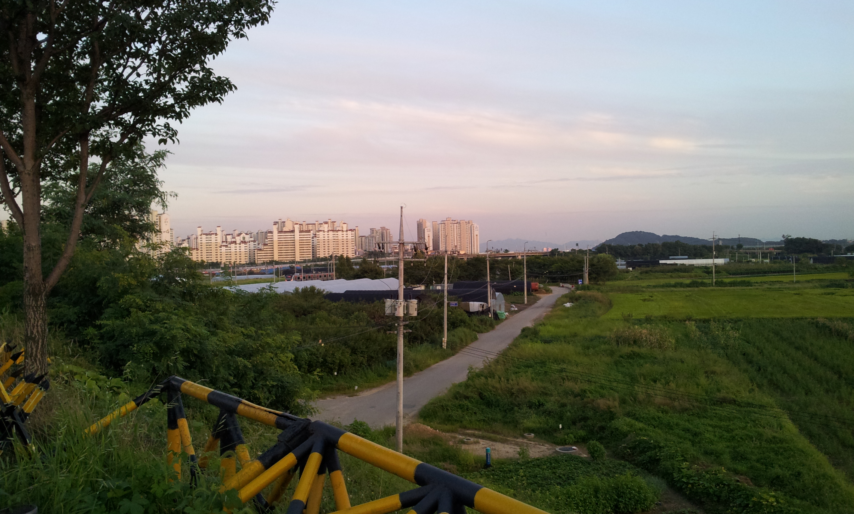 20130902_185224.jpg