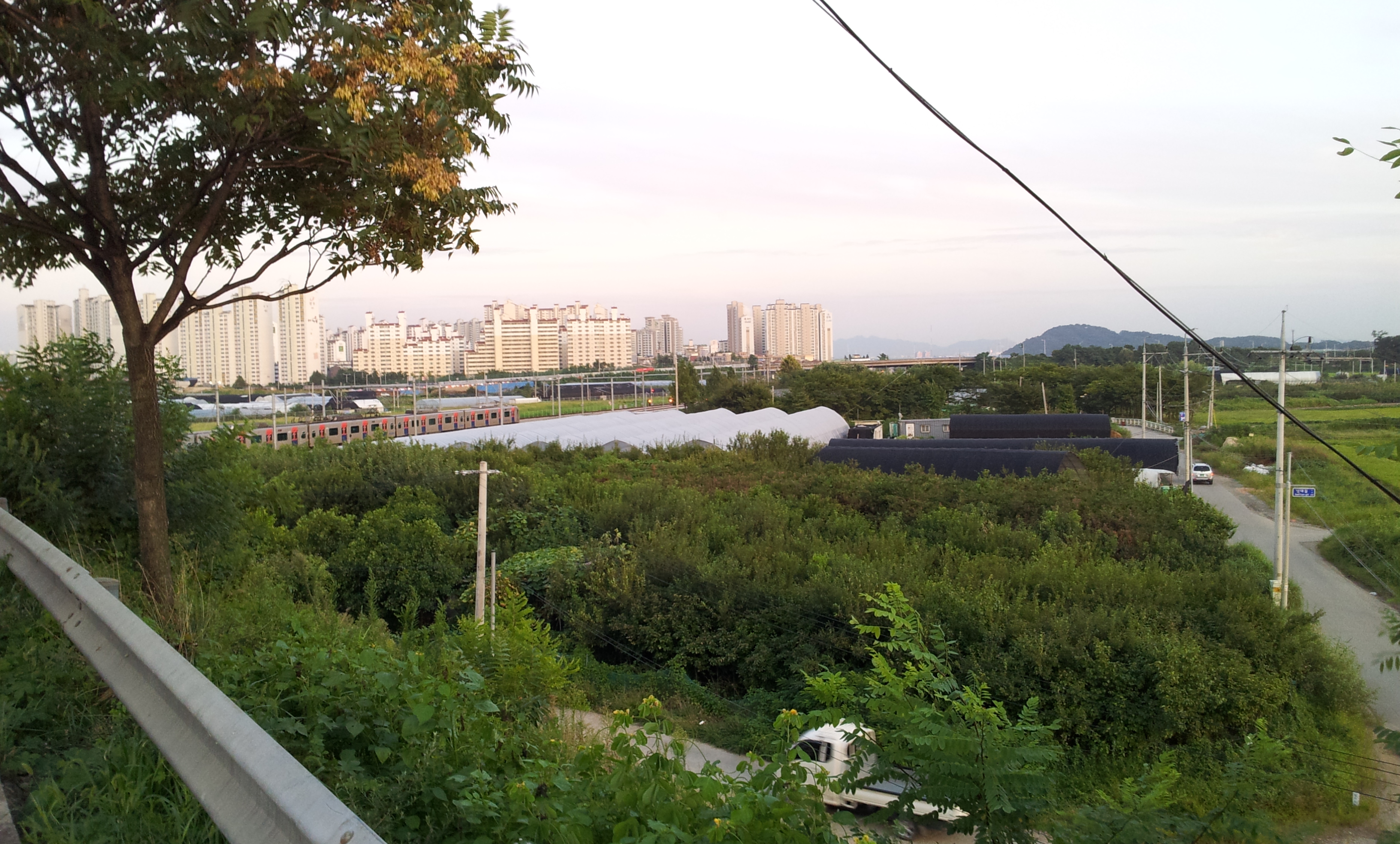 20130902_185516.jpg