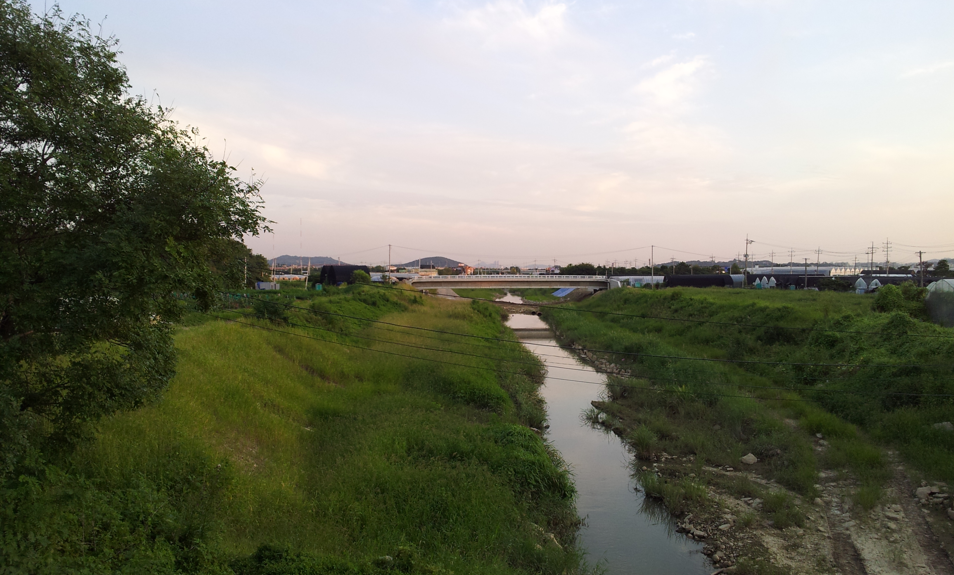 20130902_184536.jpg