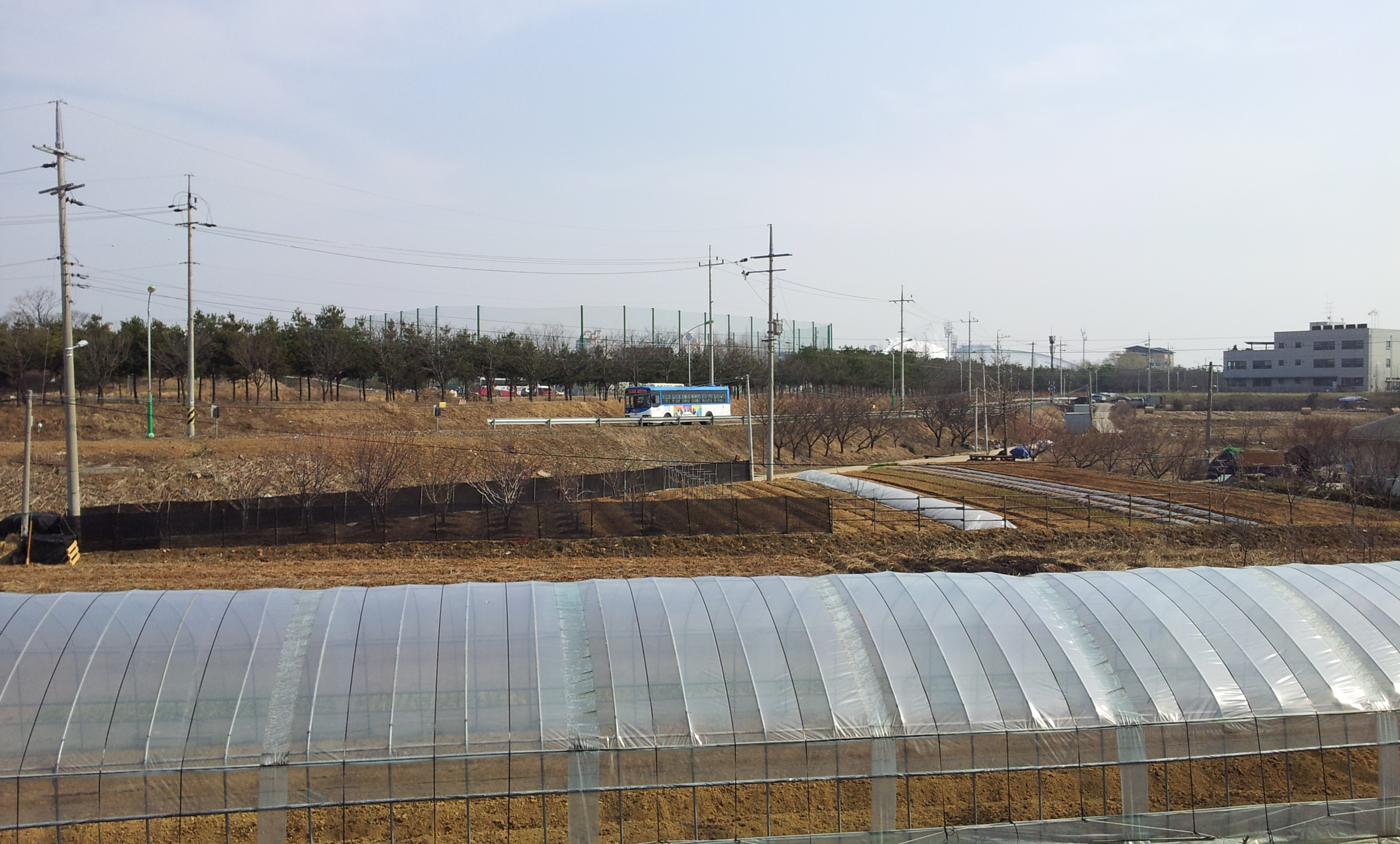20130403_152223.jpg