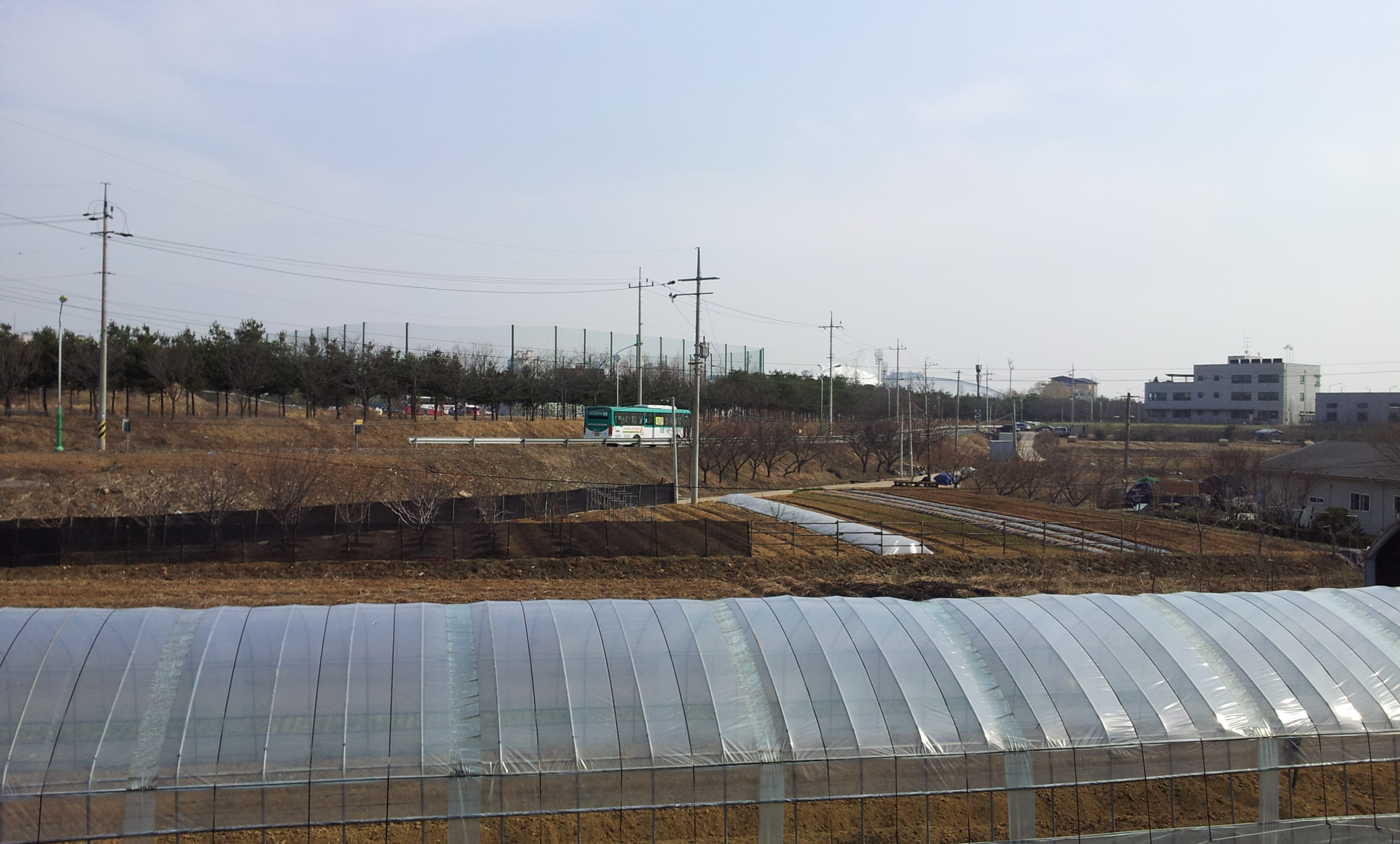 20130403_152240.jpg