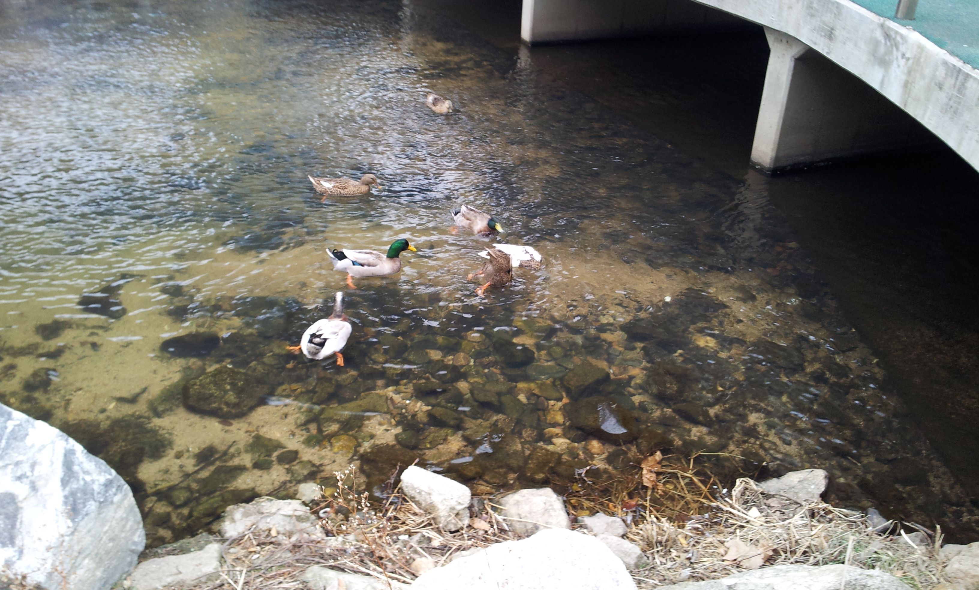 20130129_155114.jpg