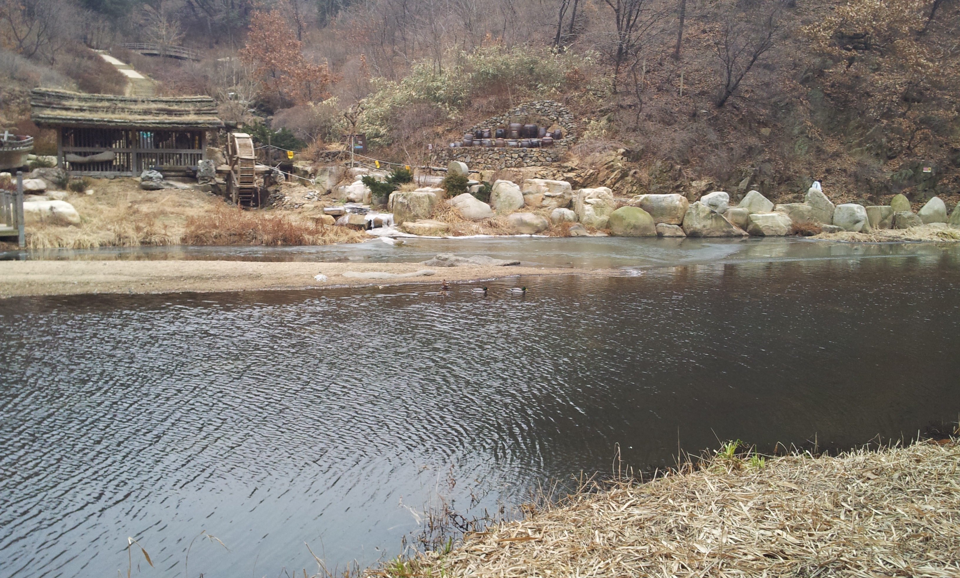 20130129_154313.jpg