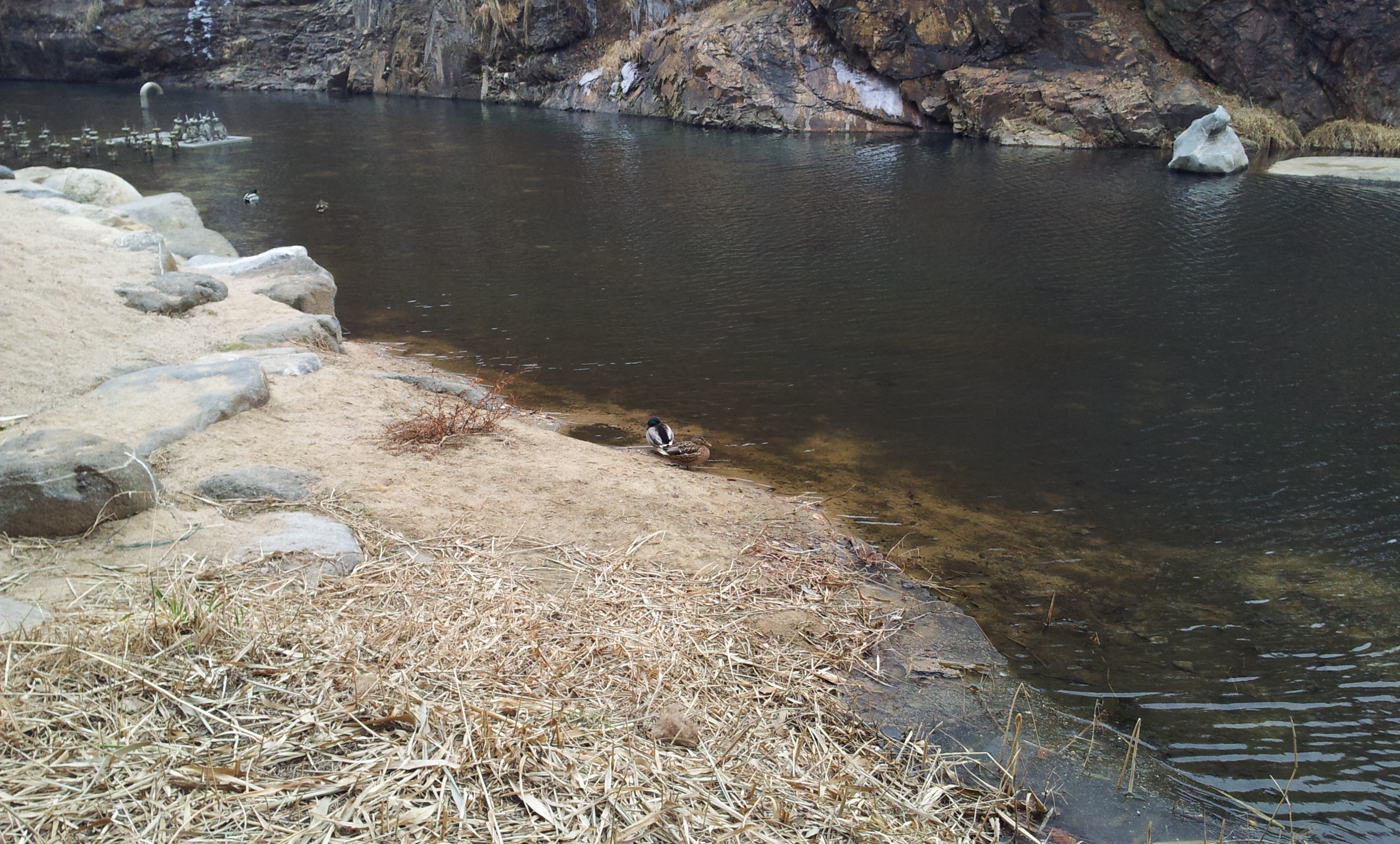 20130129_154350.jpg