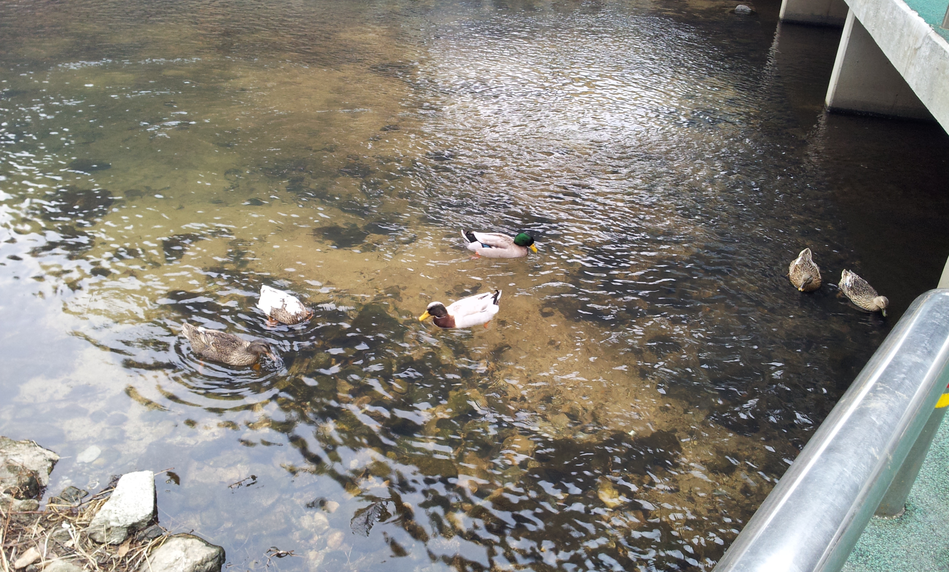 20130129_155002.jpg